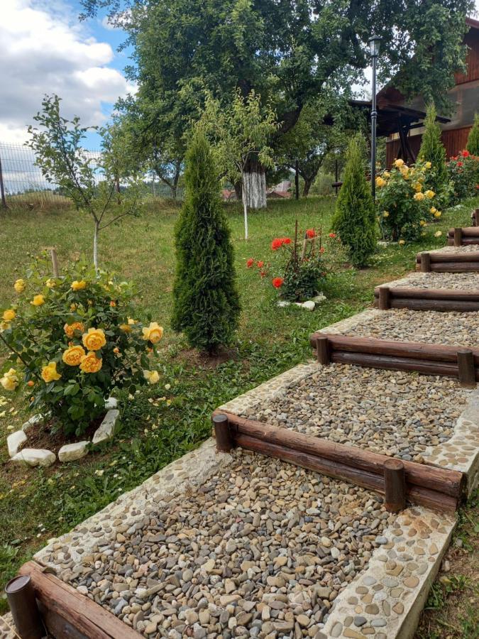 Вілла Casa Paty Менестіря-Хуморулуй Екстер'єр фото