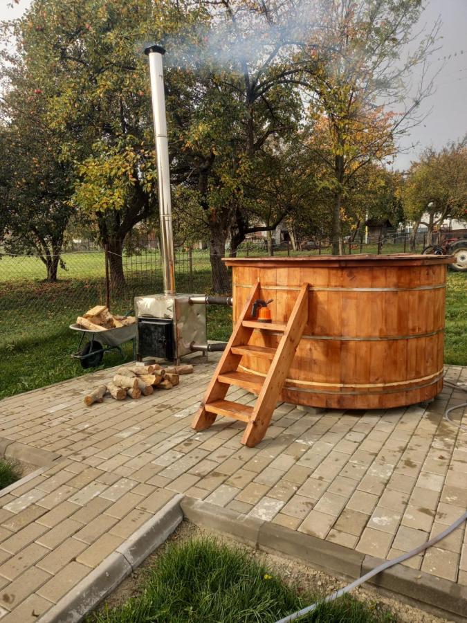 Вілла Casa Paty Менестіря-Хуморулуй Екстер'єр фото