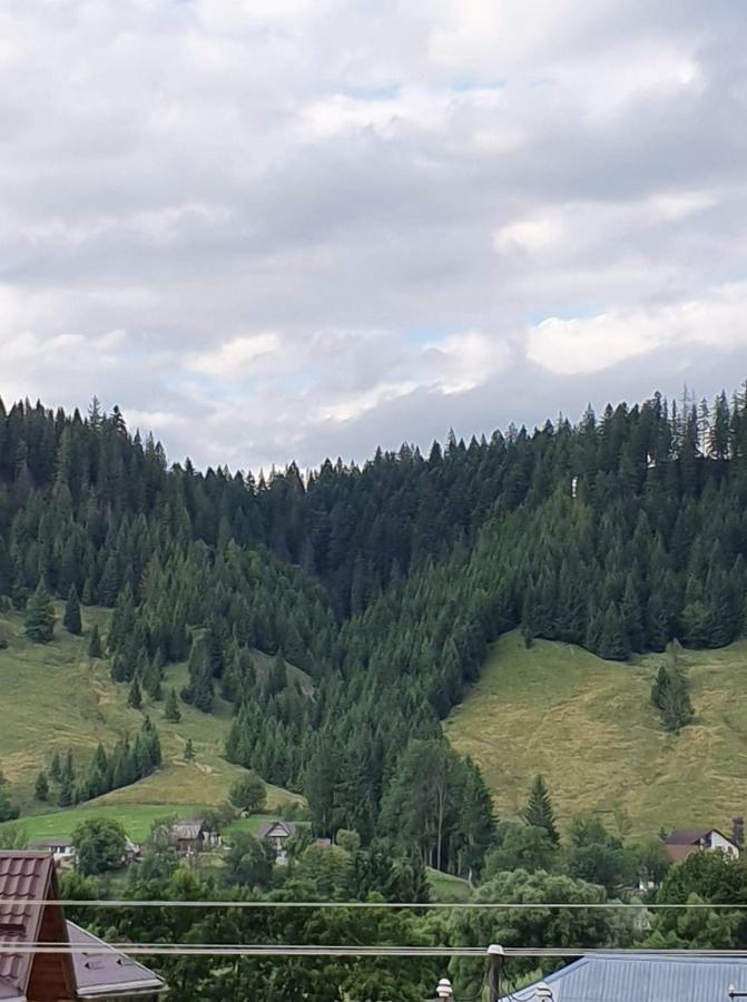 Вілла Casa Paty Менестіря-Хуморулуй Екстер'єр фото